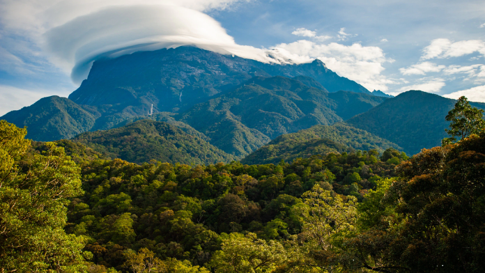 National Park to Visit in Malaysia