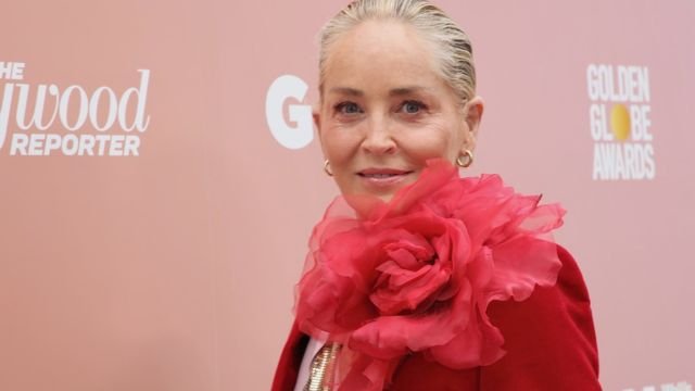Sharon Stone Net Worth