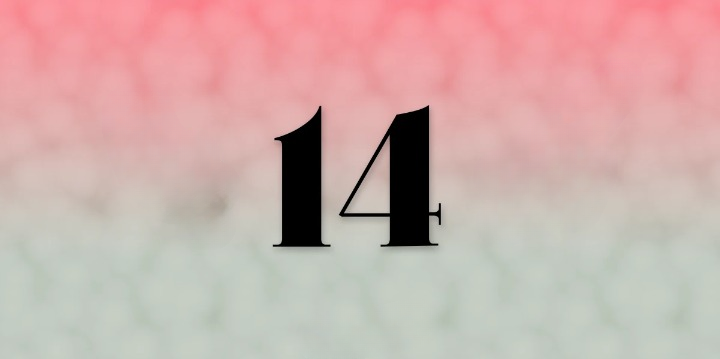 Angel Number 14
