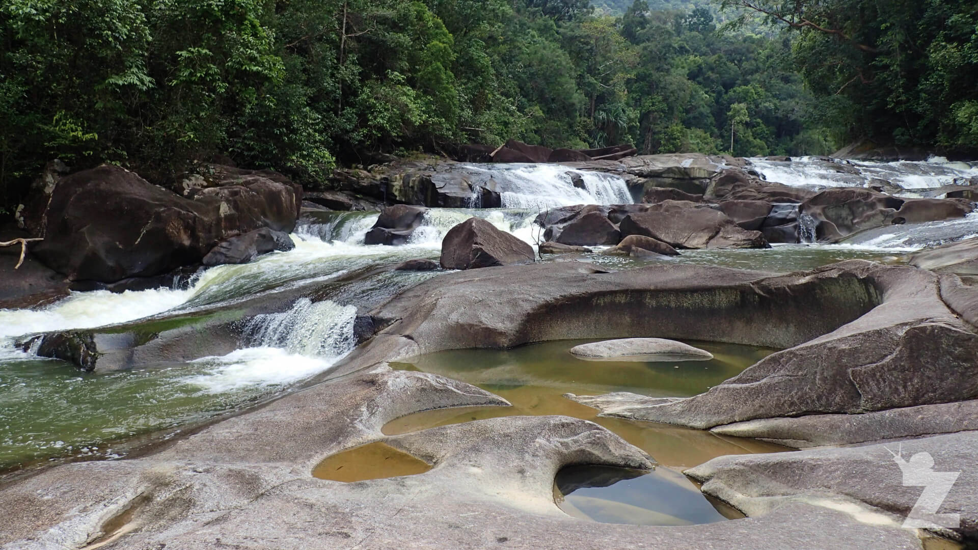 National Park to Visit in Malaysia