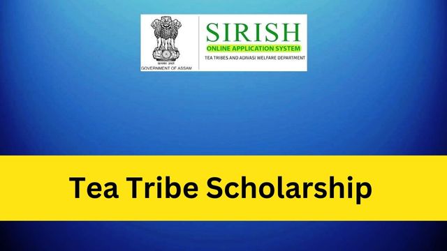 Tea Tribe Scholarship