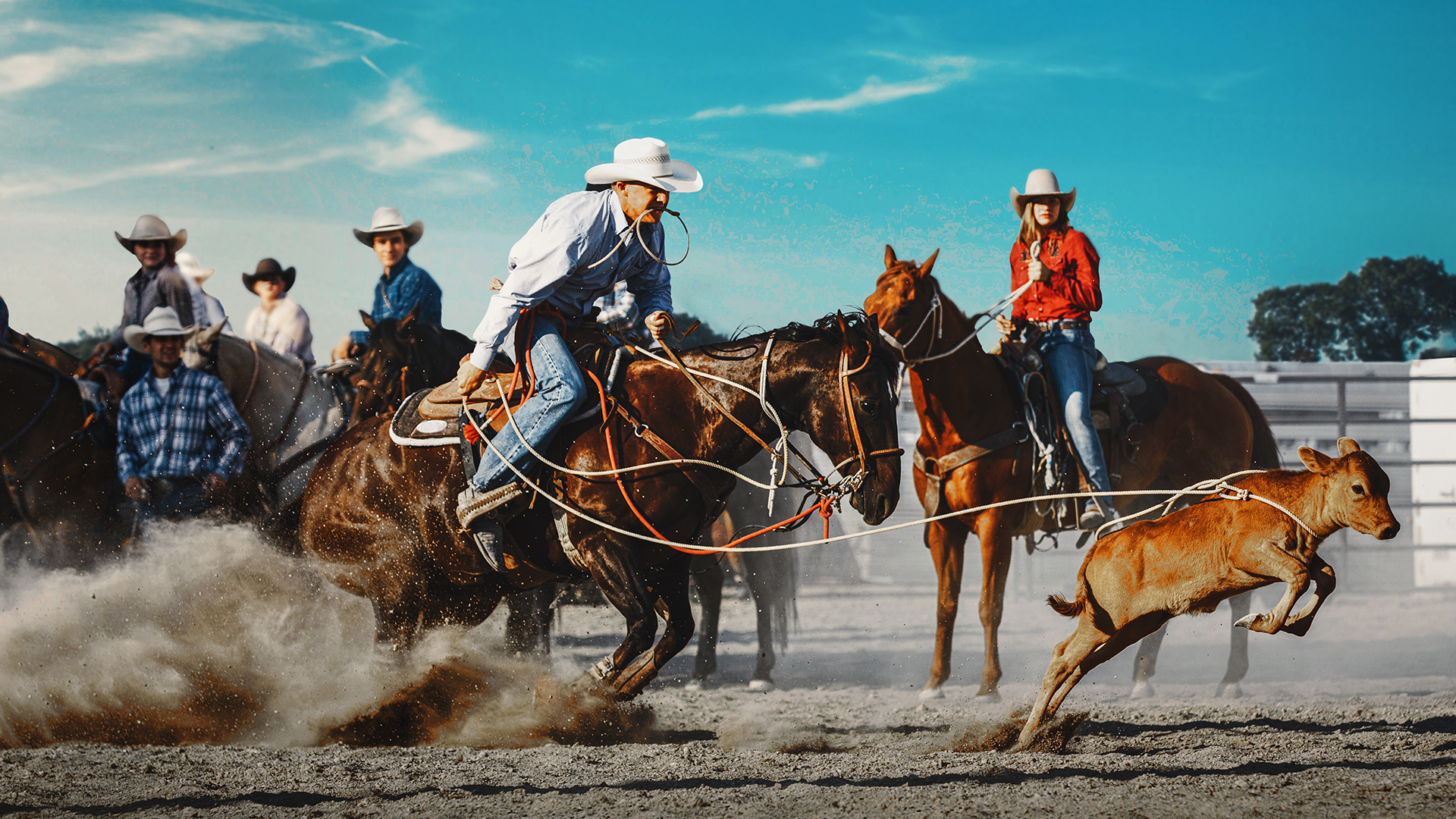 Ultimate Cowboy Showdown Season 4 Release Date